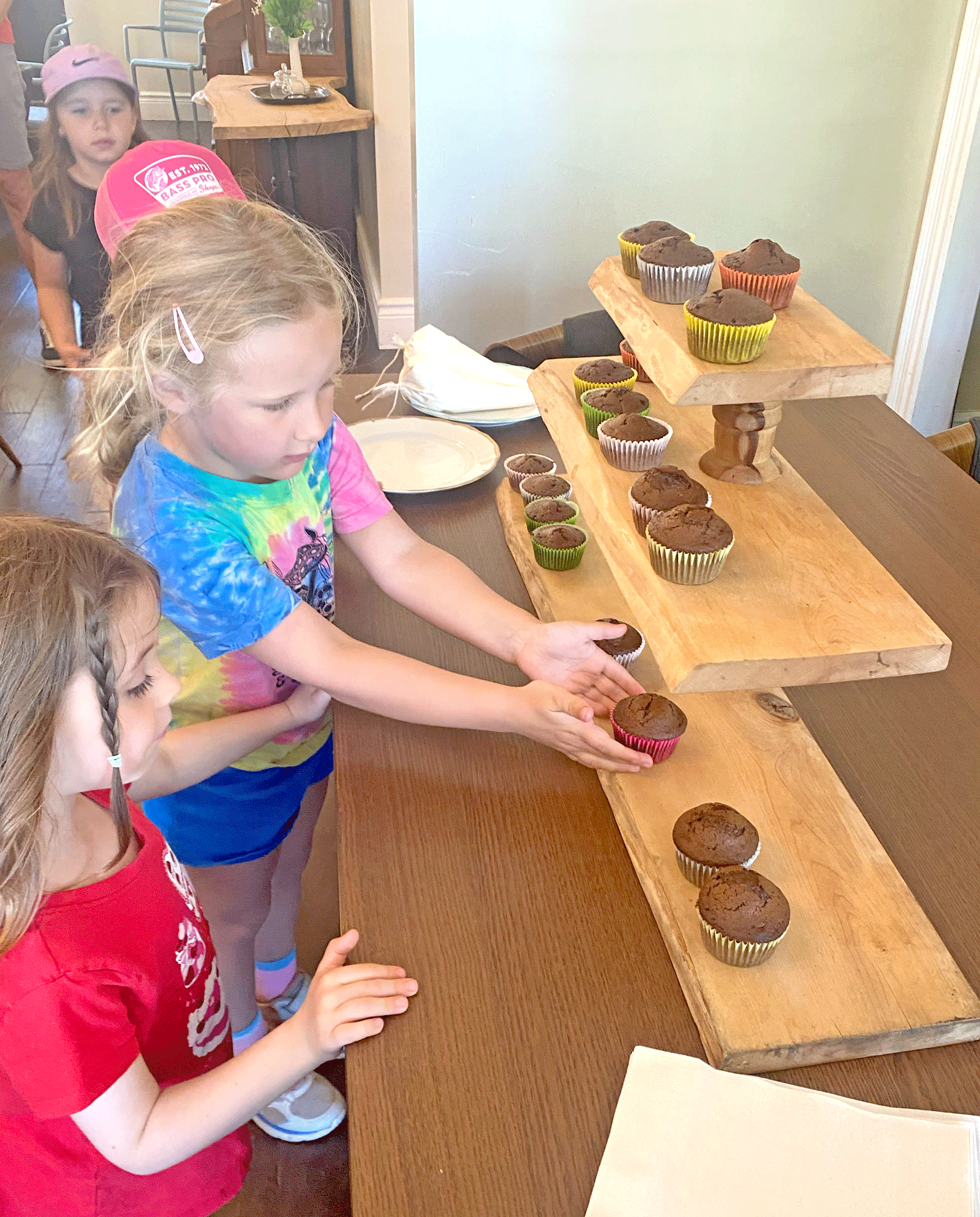 Salem kindergarteners visit Wild Tart in Elora post image