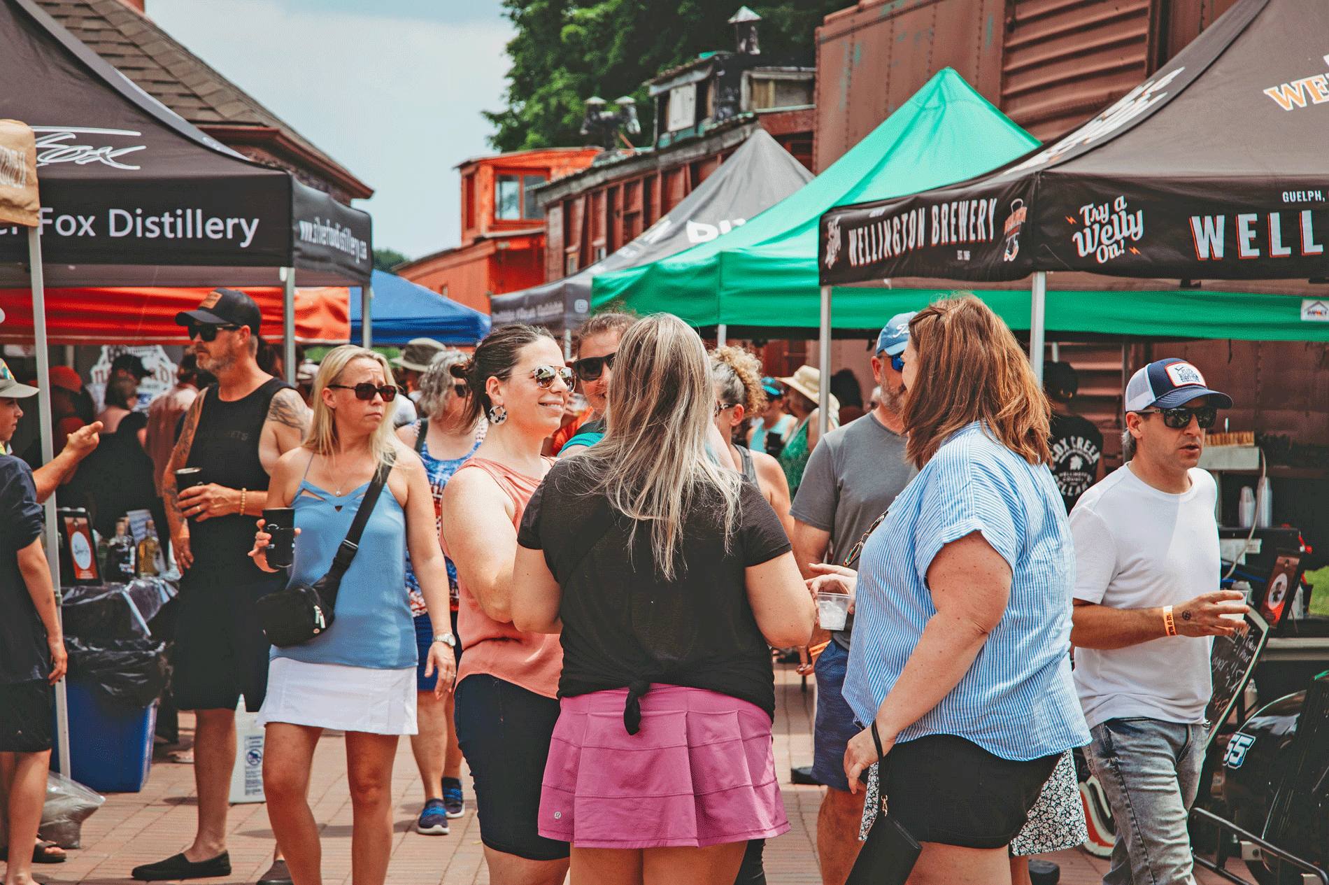 Raleway Festival coming to Palmerston Lions Park June 20 post image