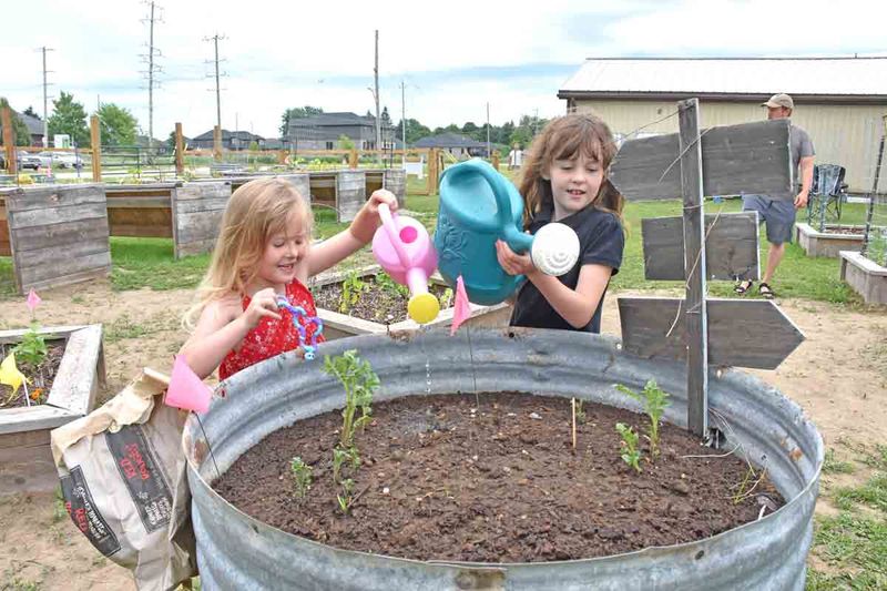 Mount Forest Community Garden finds new home post image