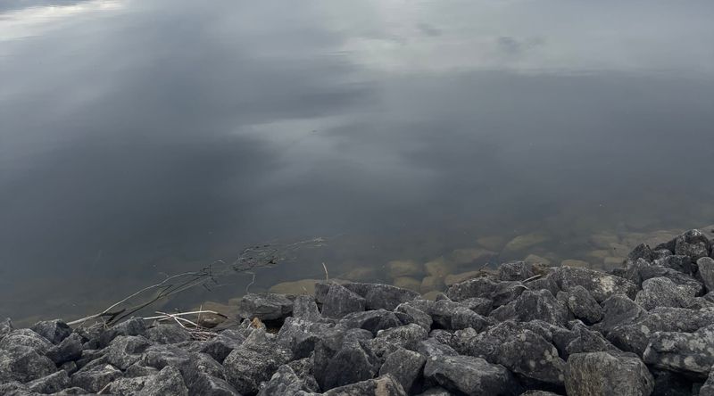 Late summer brings water quality concerns to Wellington post image