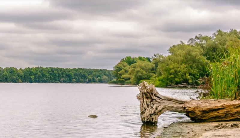 Driver rescued from Guelph Lake post image
