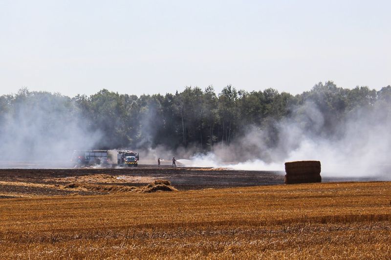 Neighbours help contain spreading field fire post image