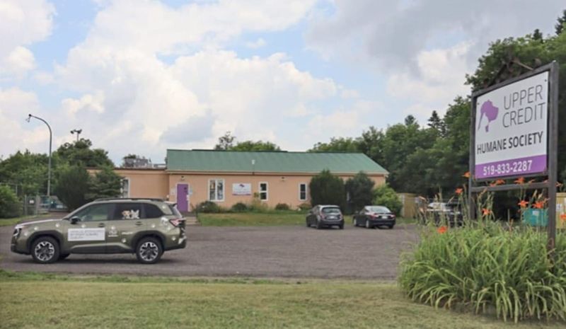 UCHS eyes two properties  for eventual relocation in 2030 post image