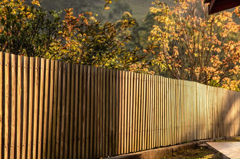 Minto opts out of Line Fences Act post image