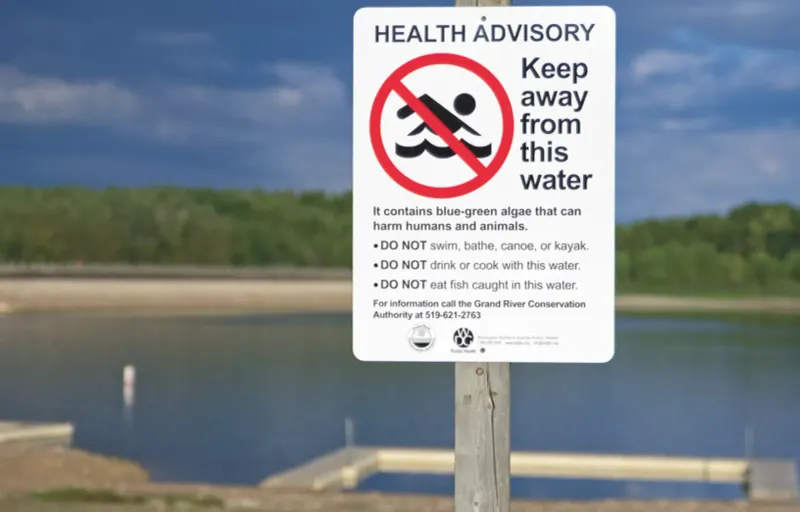 Blue-green algae spotted on Belwood Lake: GRCA post image