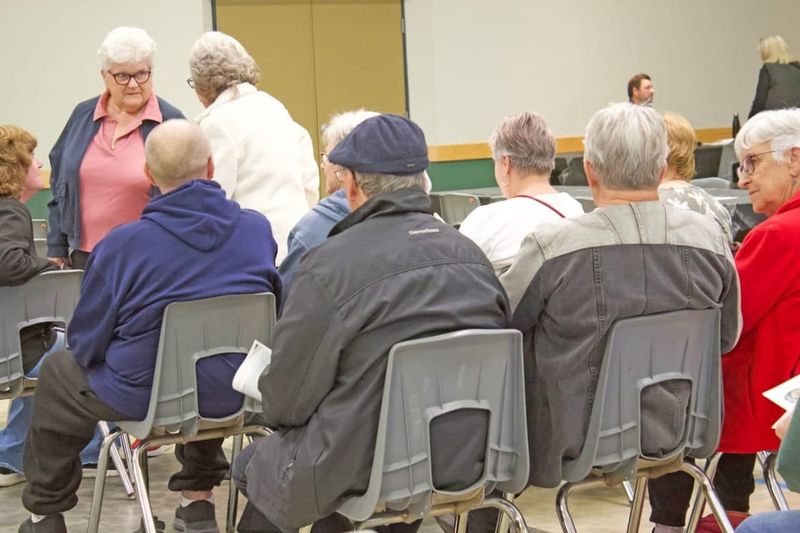 Wellington North candidates address pool, infrastructure, housing post image