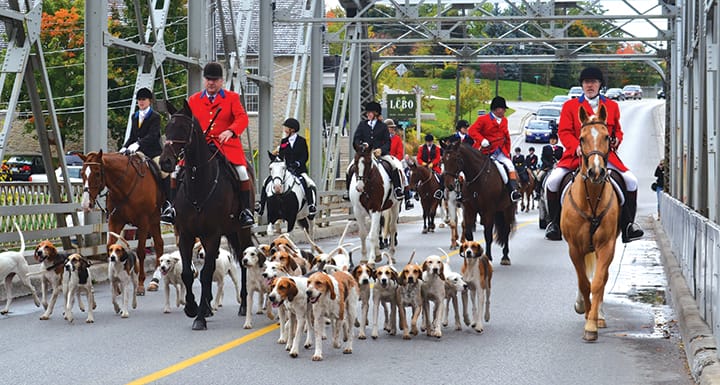 BIA makes pitch to  preserve Badley Bridge