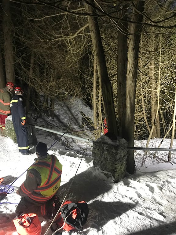 Dog injured after falling into Elora Gorge