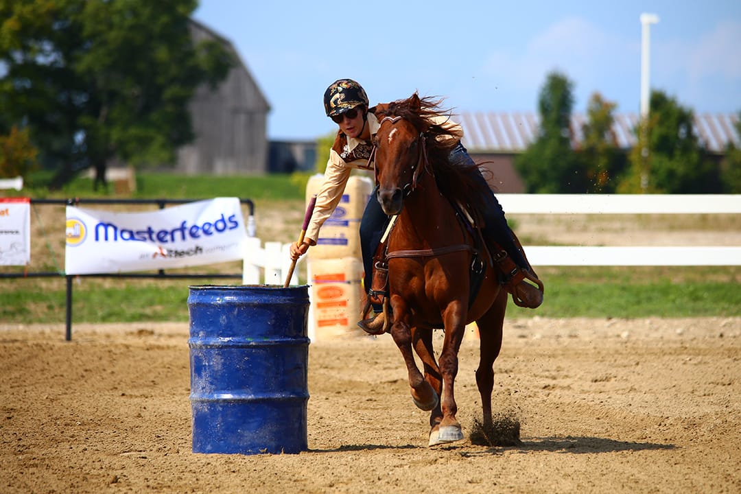 Teen raising awareness about rare Bashkir curly horse breed