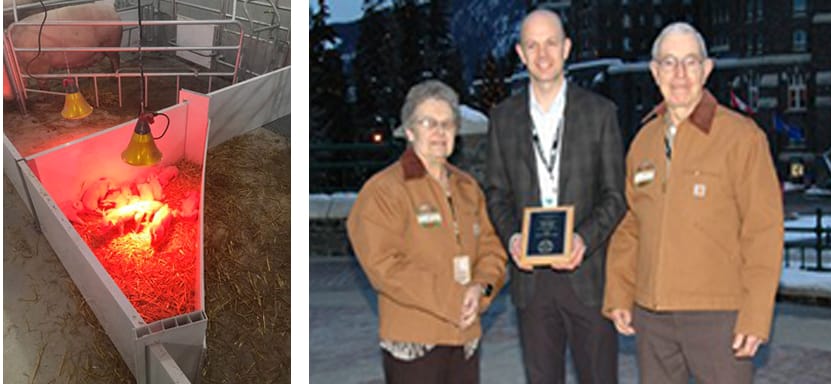 Piglet protection device earns innovation prize for local farm