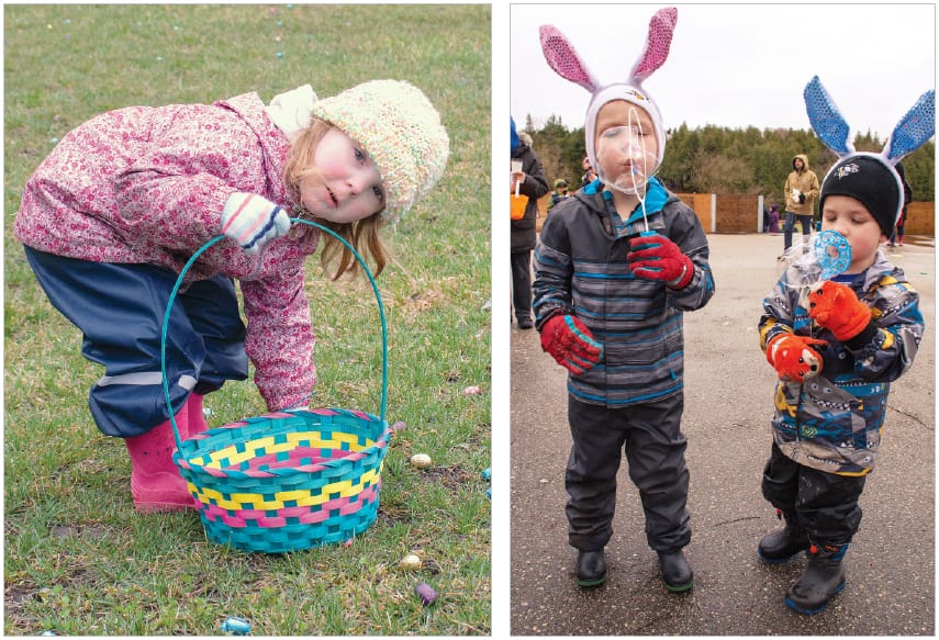 Bunny time