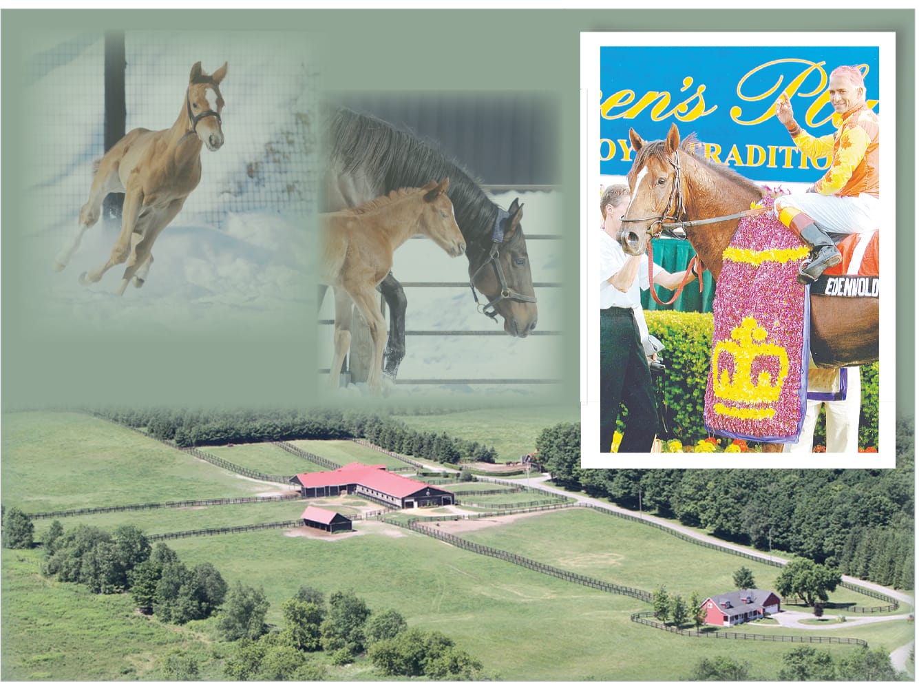 Edenwold