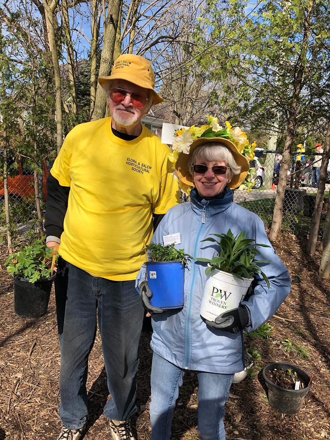 Plant sale in Elora