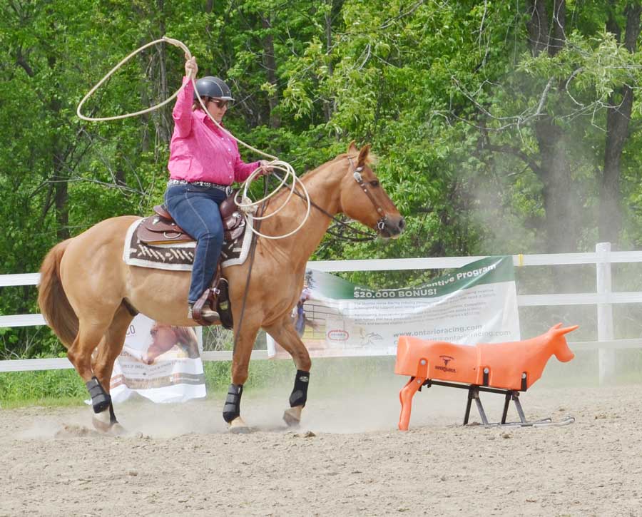 Competitors took part in Ontario Xtreme Cowboy event at Erin fairgrounds