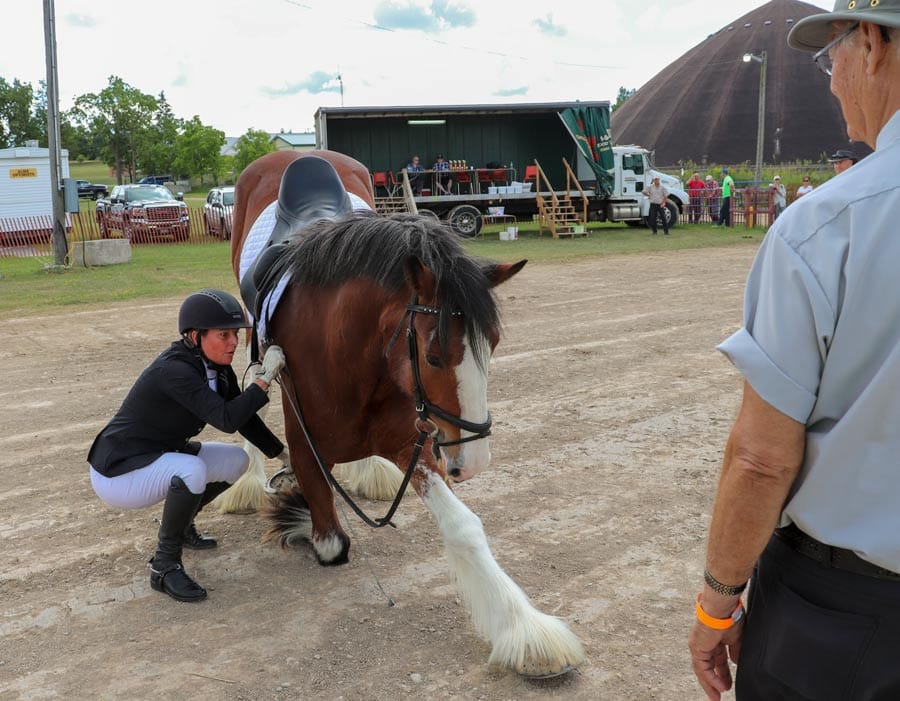 Area residents catch 'Farm Fever' at 163rd Drayton Fair