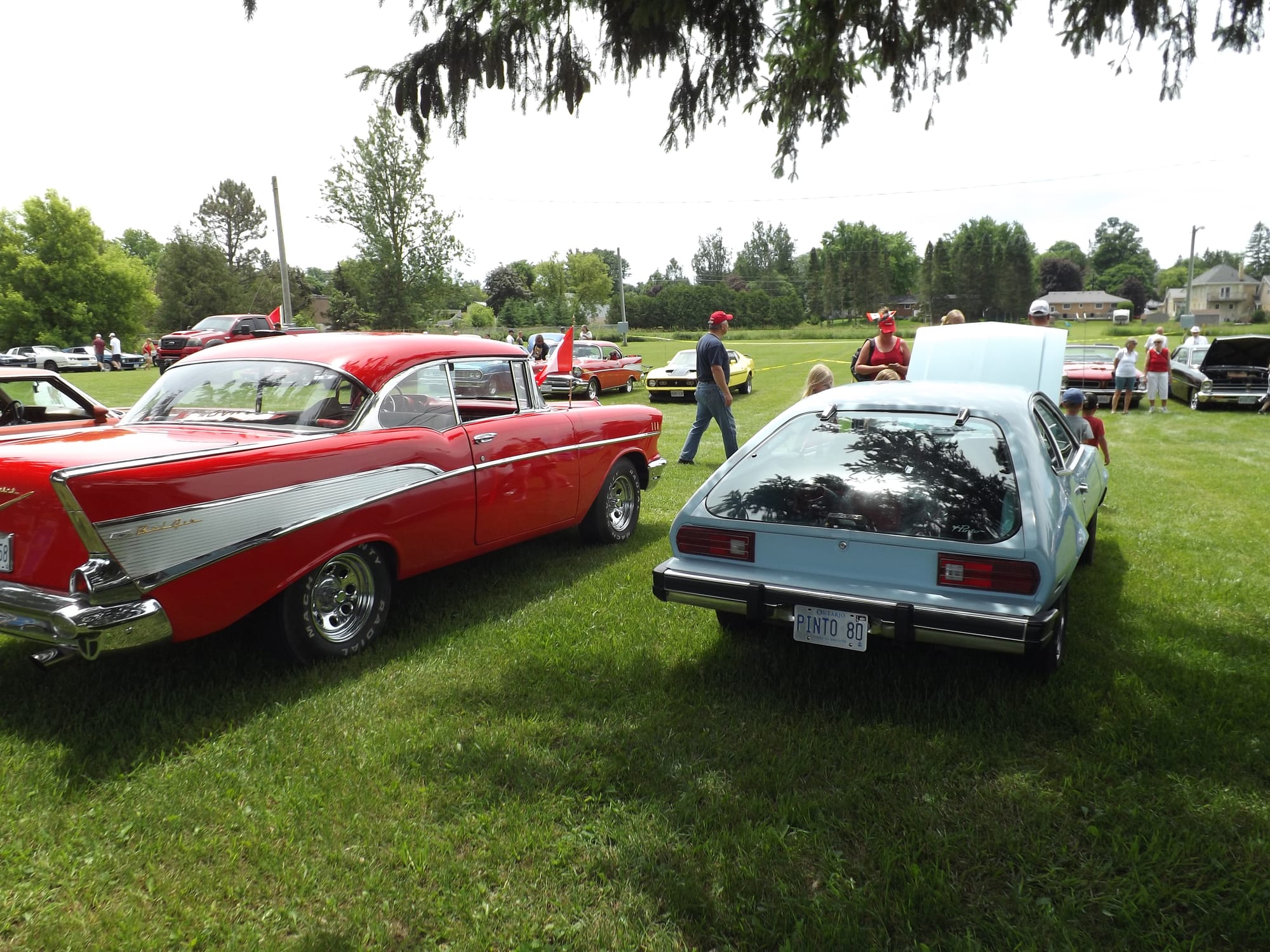 Drayton Rotary plans Cruise Nights