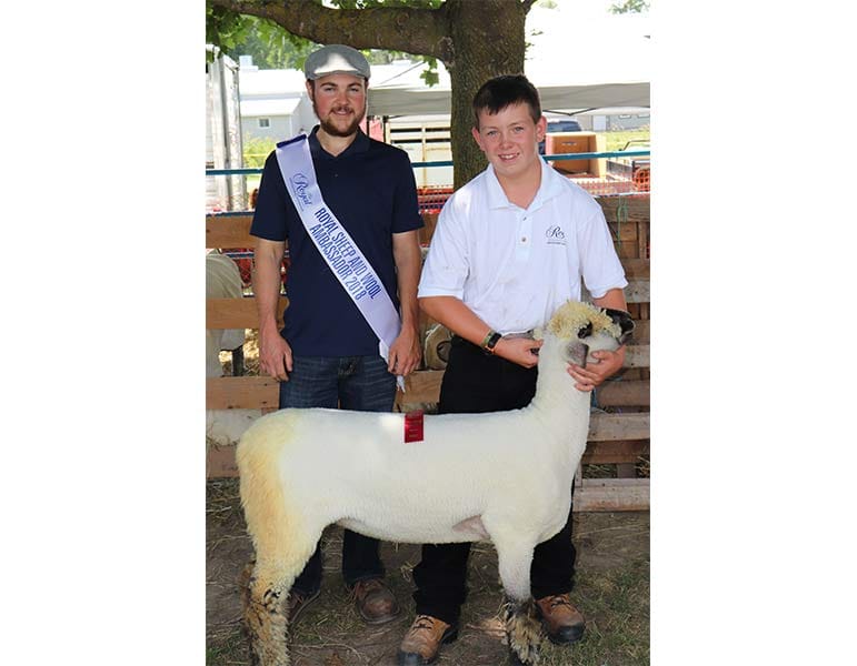 Colby Young awarded Junior Showmanship at Drayton Fair