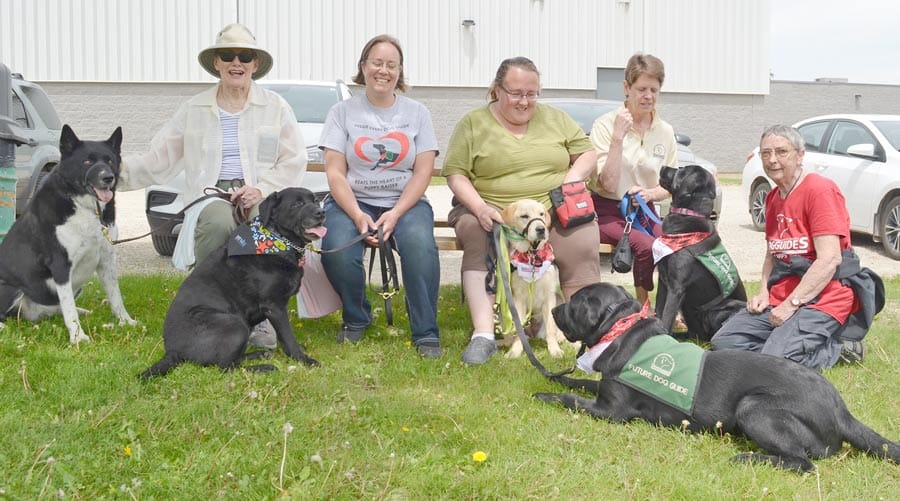 Local dog guide walk amongst top 10 in Canada for donations raised