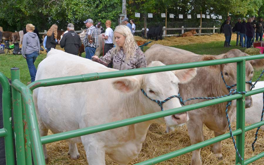 Fergus fair a fun fall showcase