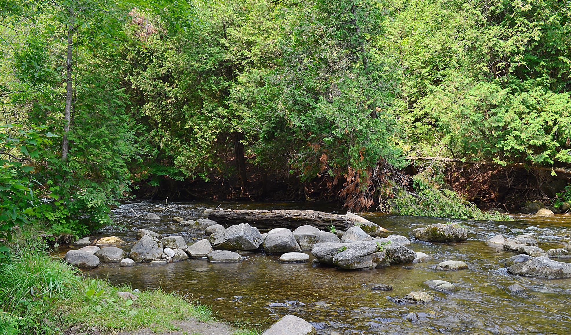 Group continues to look at ways to address concerns about Erin wastewater plant