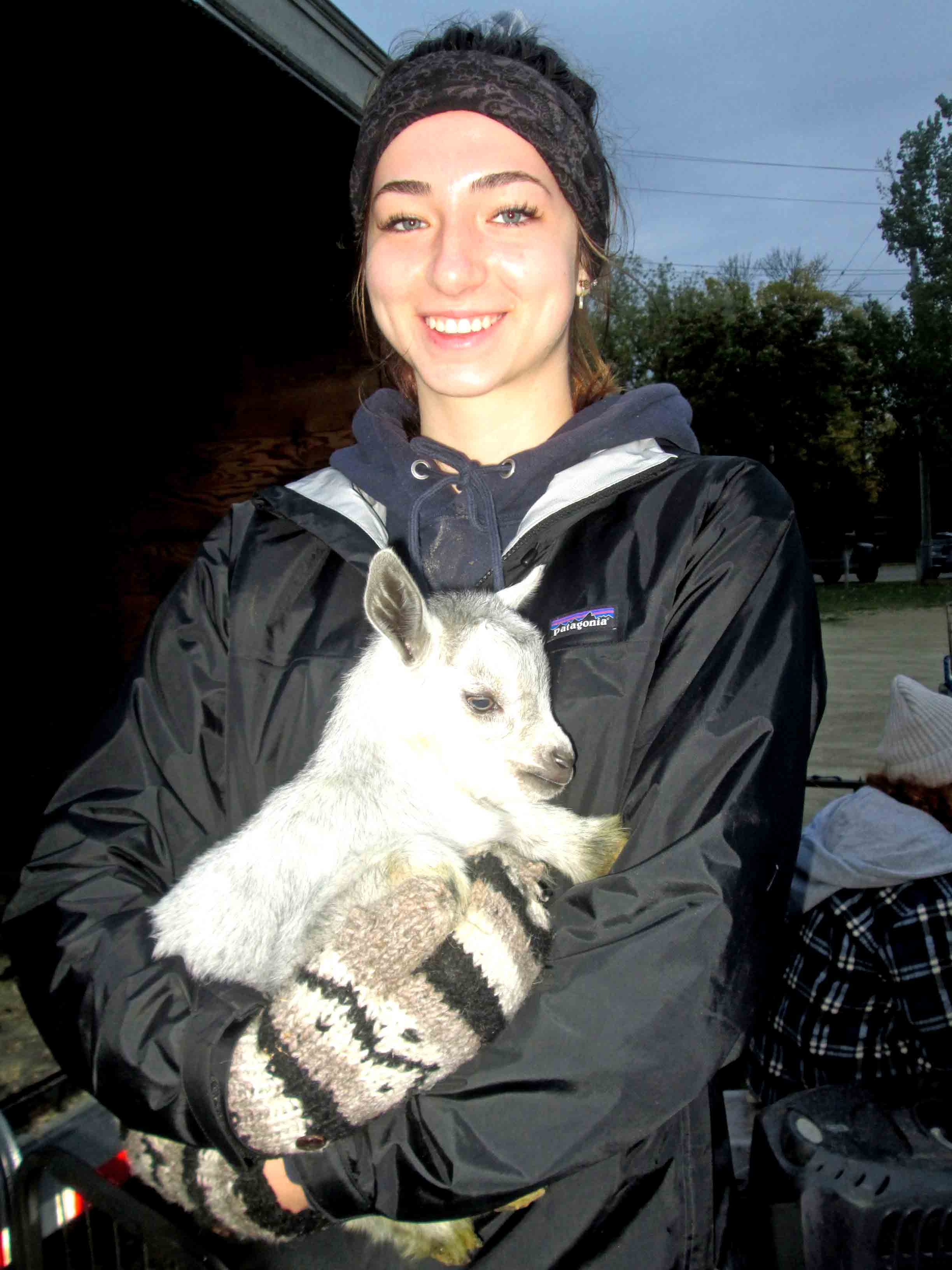 Fur and feather fanciers flock to Mount Forest event