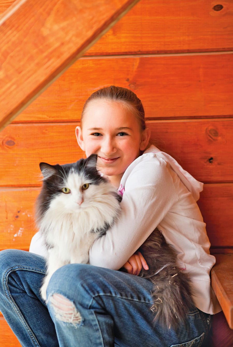 Six tips to keep pets safe during storm season