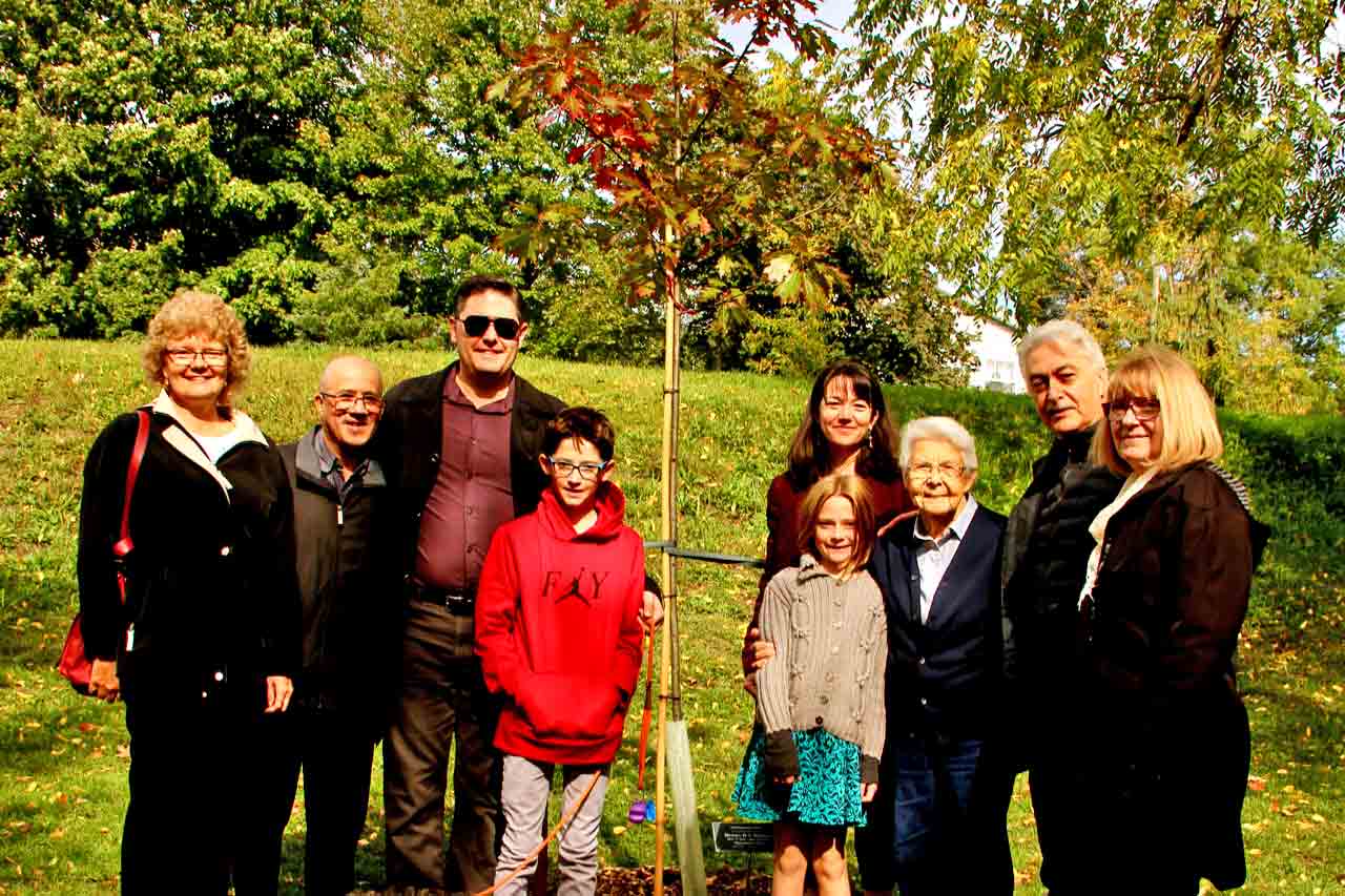 Celebration Trees planted again this fall