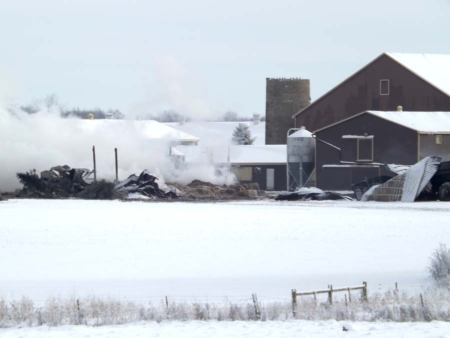 Cattle perish in Nov. 12 barn blaze on Drayton area farm