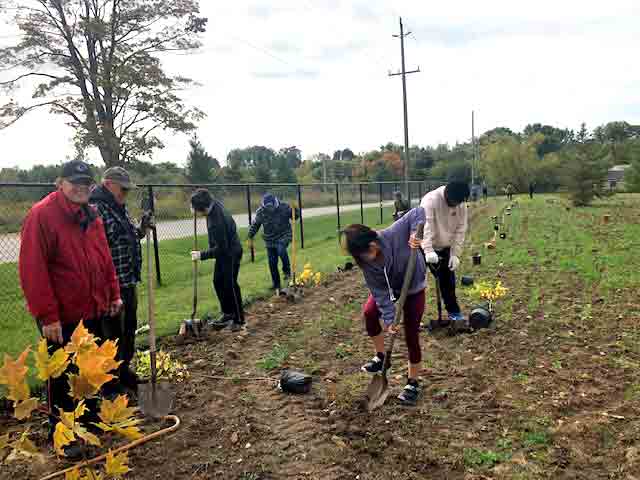 Tree planting on former landfill creates new habitat
