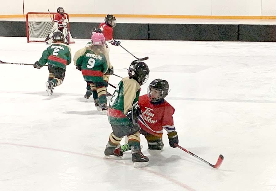 Local north Wellington teams face off in Harriston