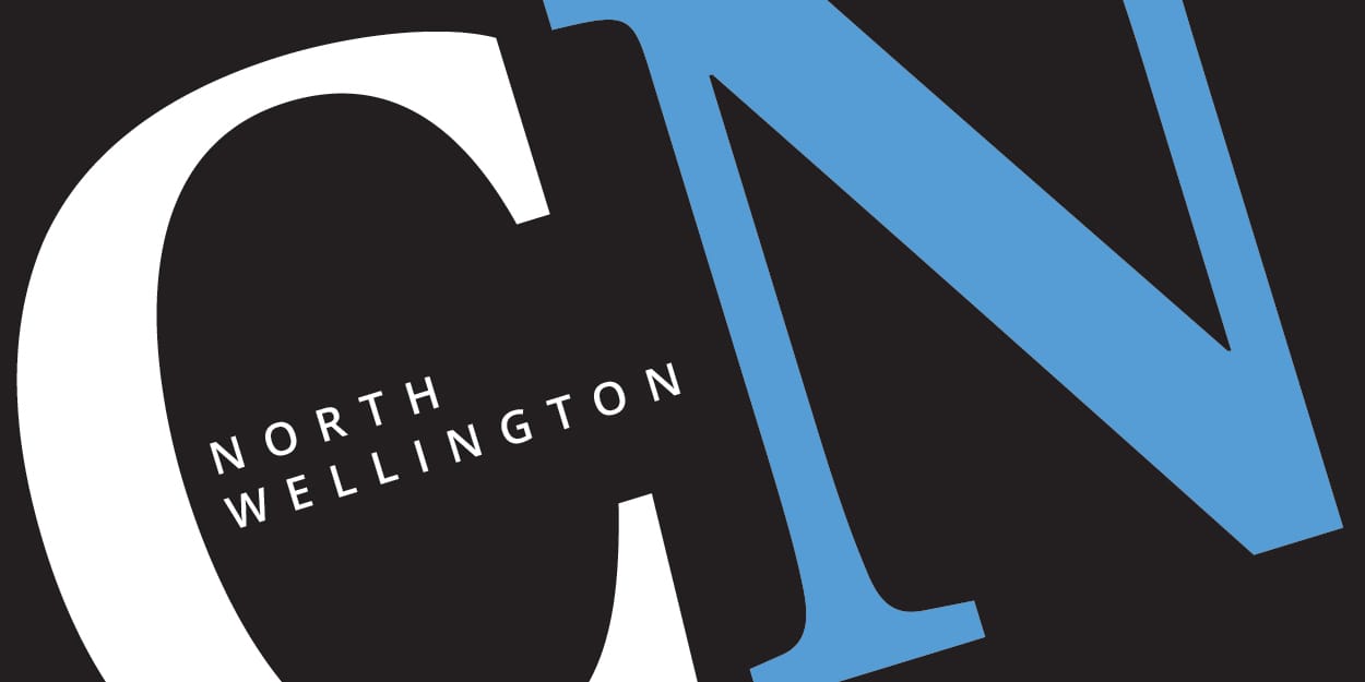 Patriots lose games to Bulldogs, Ironmen during tough week in PJHL