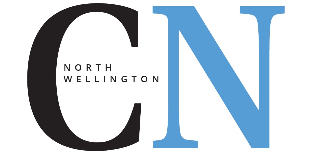 Patriots and Hawks tied in PJHL semi-final series