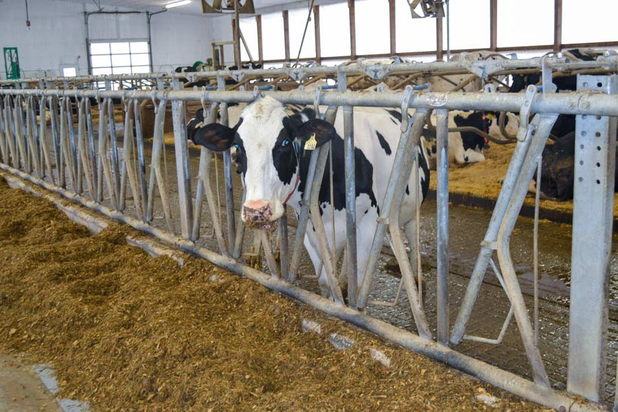 Farmers, animal rights groups clash on Bill 156