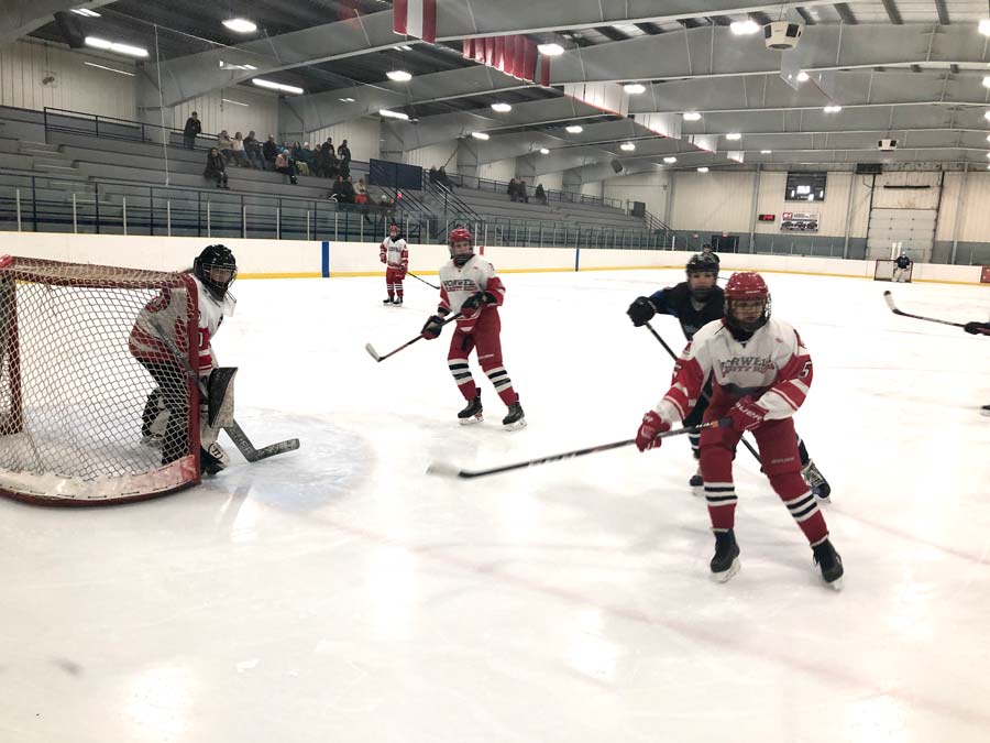 Norwell's Varsity Reds girls hockey take top spot in District 4 regular season