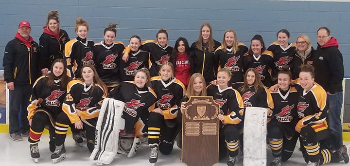 CWDHS girls hockey team back-to-back D10 champions