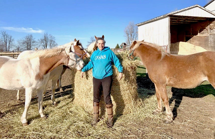 Equine industry feeling fallout of COVID-19 pandemic