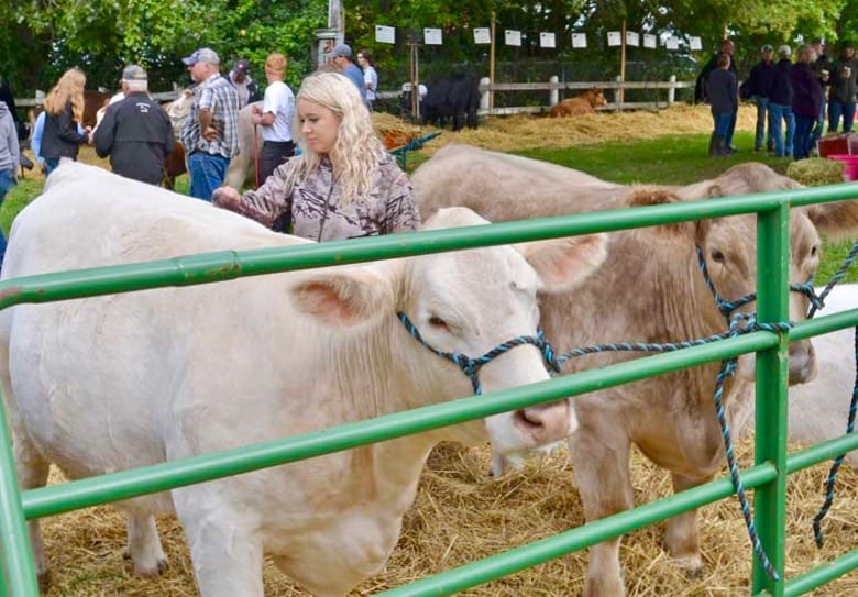 Fergus Fall Fair cancelled due to COVID-19 pandemic