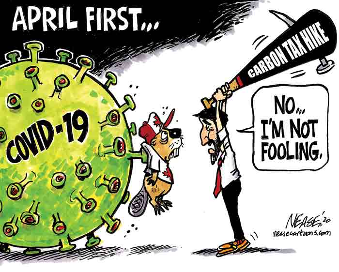 Cartoon: 04/02/20