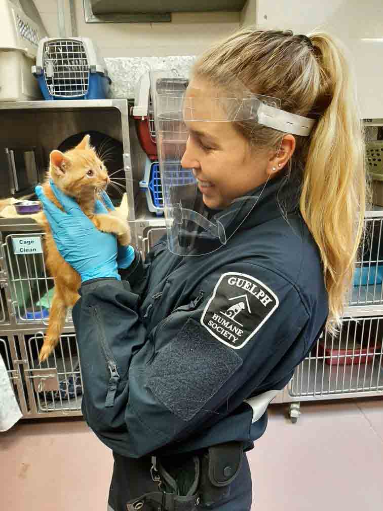 Guelph Humane Society prepares for increase in feral kittens this spring