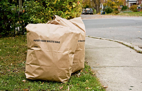 County's yard waste collection comes to south Wellington on Tuesday