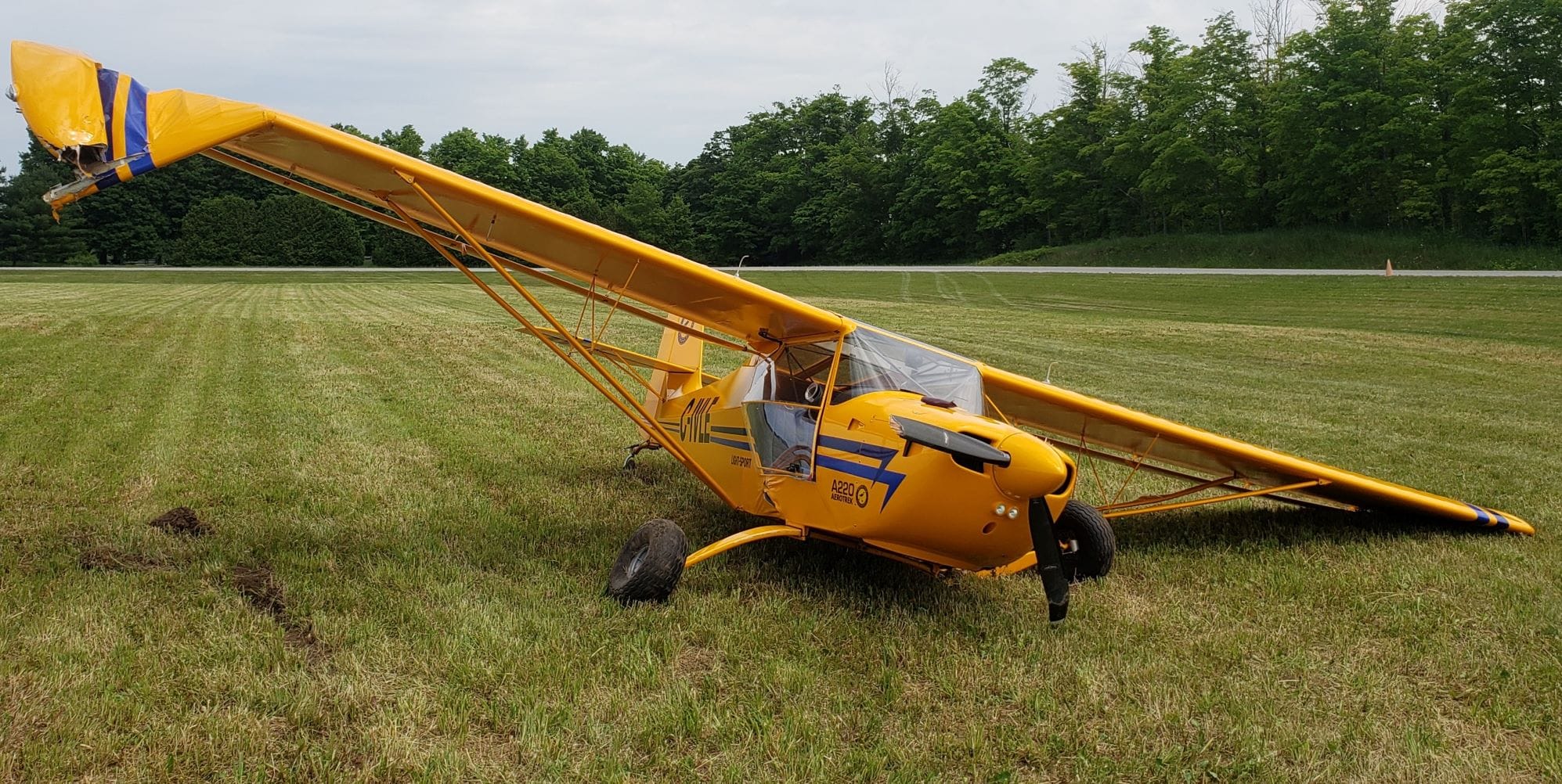 Pilot injured in Puslinch plane crash