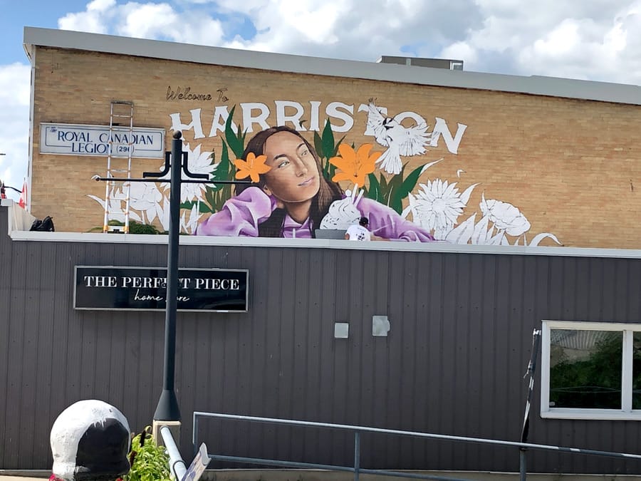 Mural Mania in Minto brings public art to downtown
