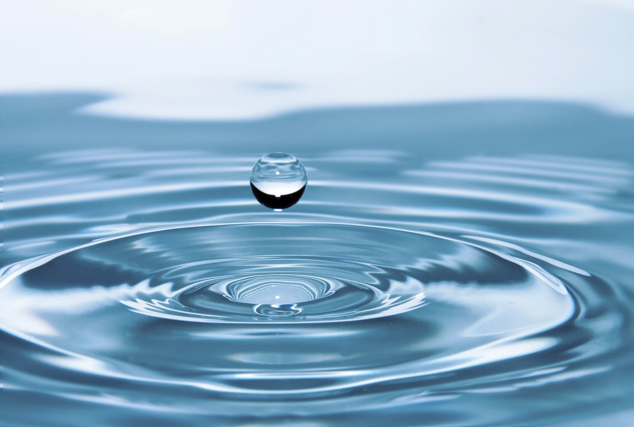 Wellington Water Watchers launch #TapItForGood campaign