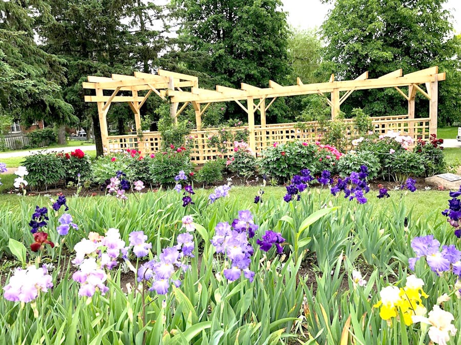 Gardens a tribute to Terry Fox’s vision, determination, inspiration