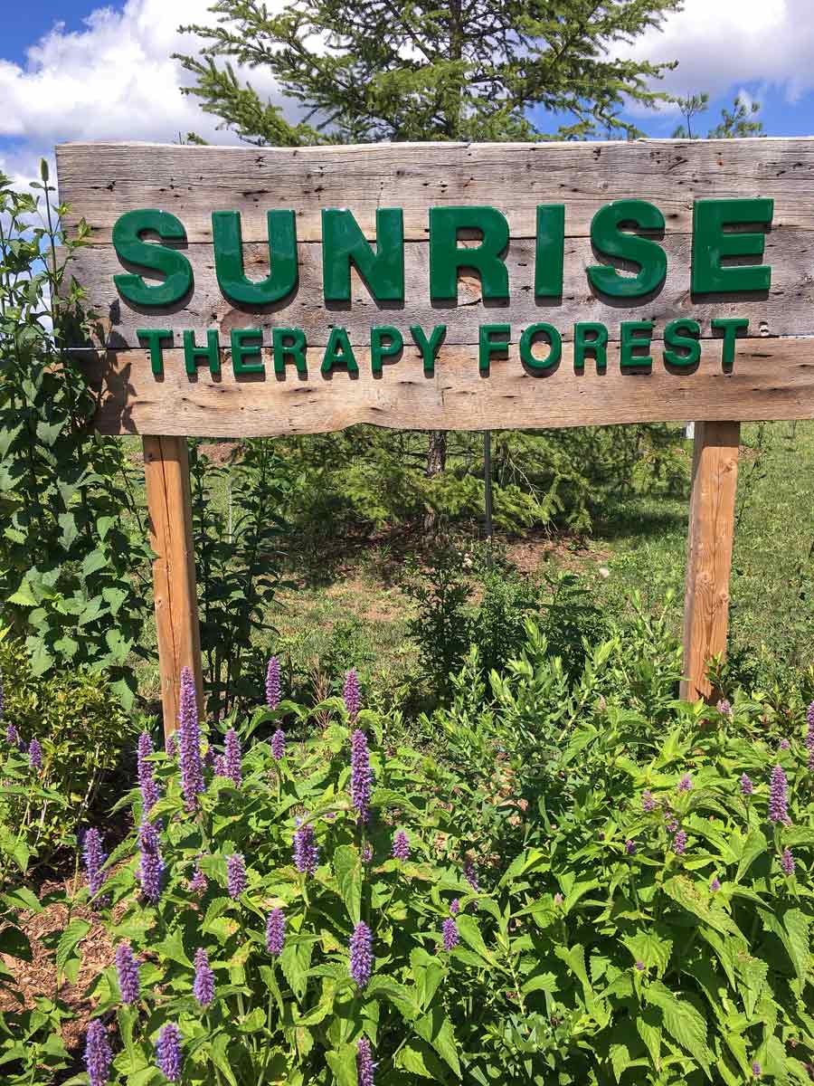 Sunrise to host outdoor, socially  distanced therapy forest celebration