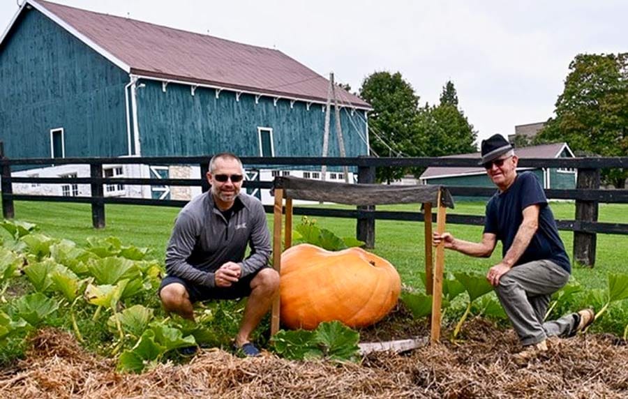 Wellington County Warden and Centre Wellington Mayor Kelly Linton wins Metz Giant Pumpkin Challenge