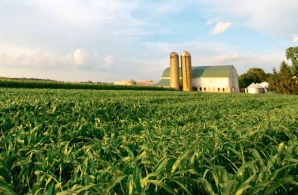 Perth-Wellington farmers to share nearly $700,000 in government funding