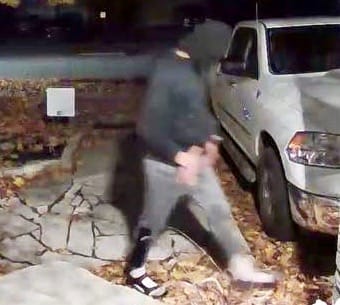 Police seek vandals who spray painted Fergus cars, homes
