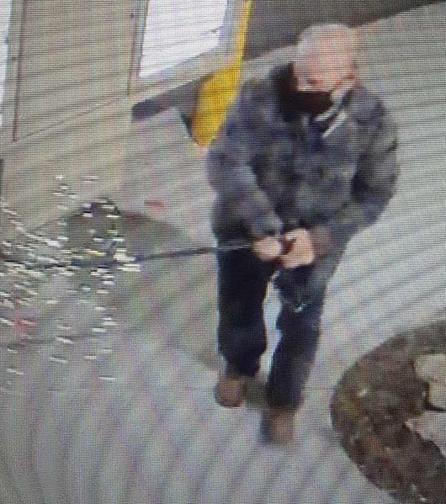 Christmas tree stolen from Fergus business