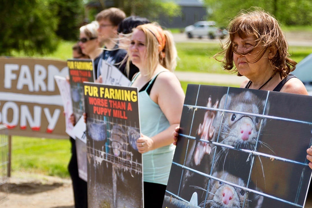 Security from Trespass Act comes into effect; not everyone on board